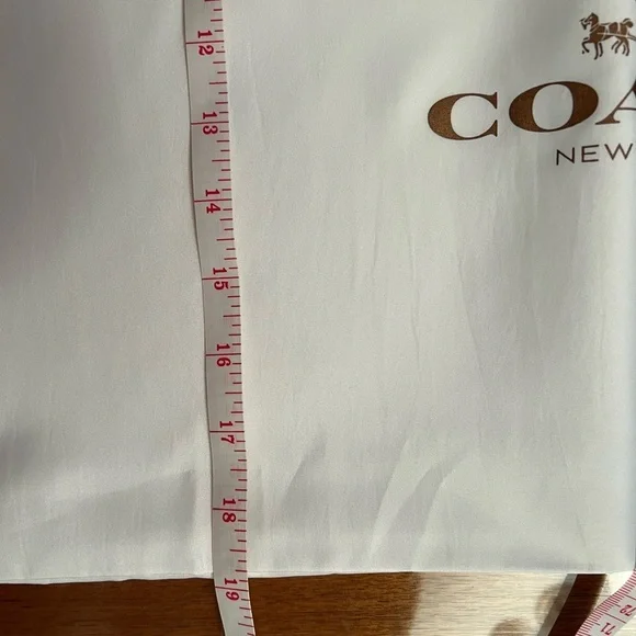 Coach, Chanel, and Louis Vuitton, Tiffany and Goyard Dust Bags! - Picture 13 of 16